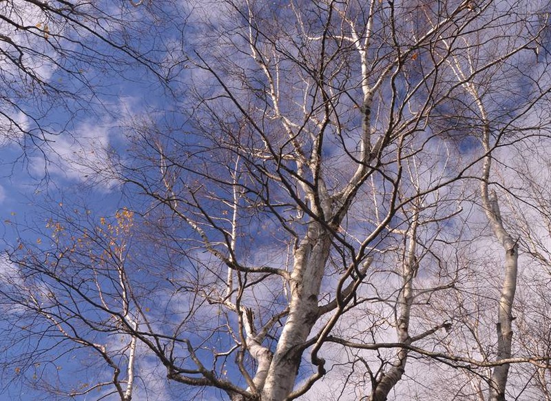image002
