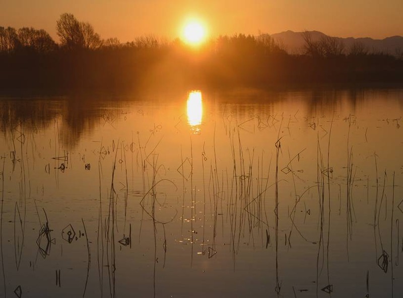 image002