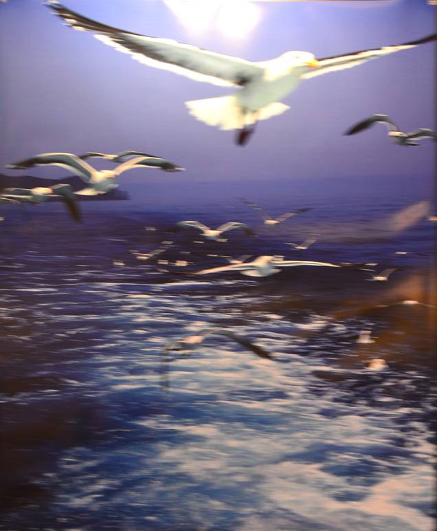 image002