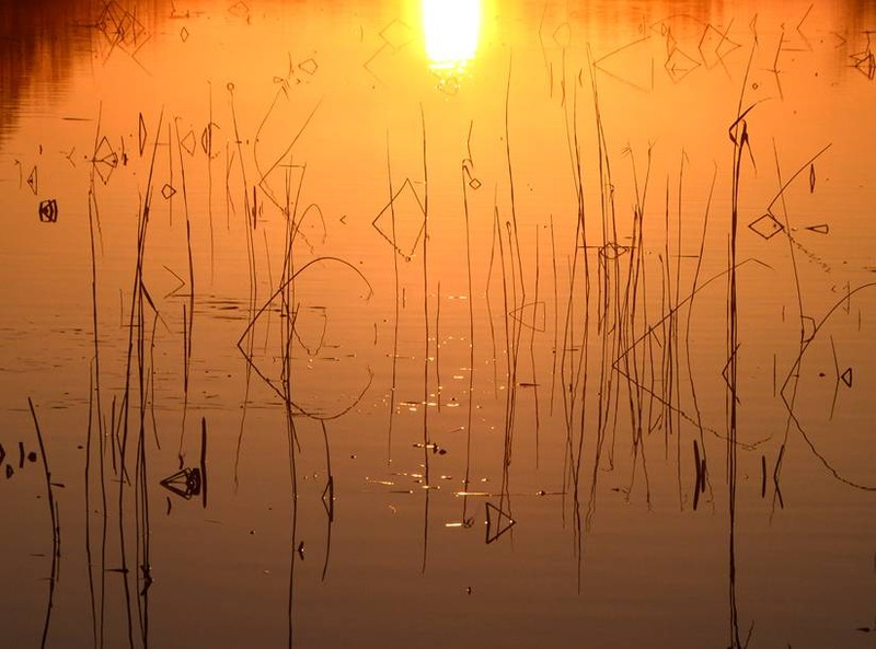 image002