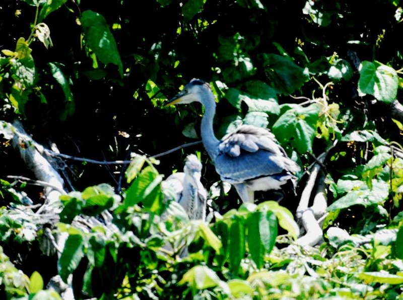 image002