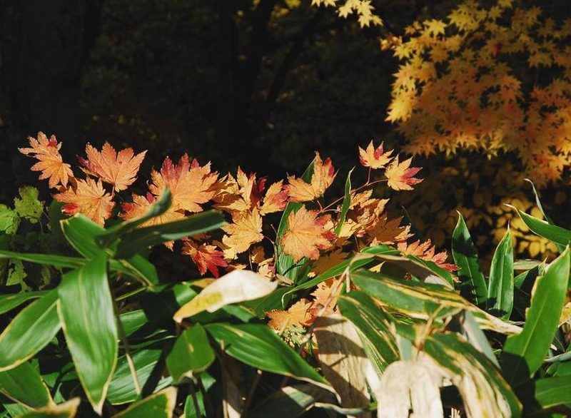 image002