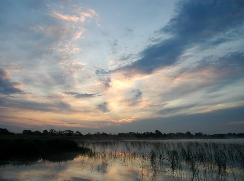 image002