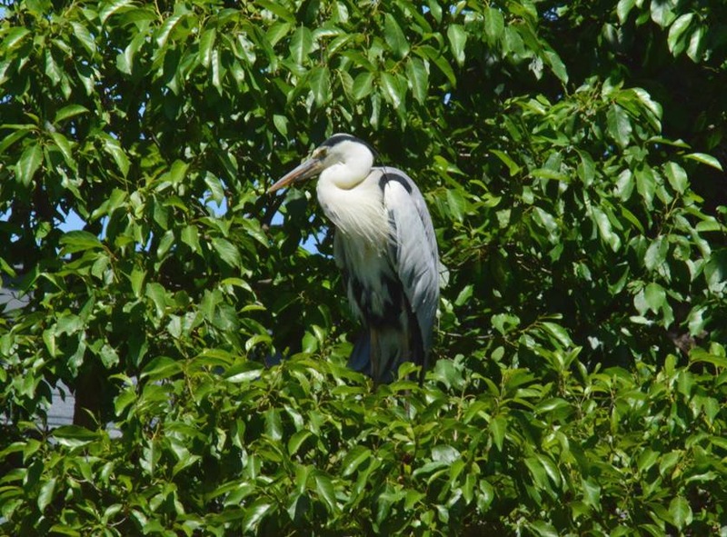 image002