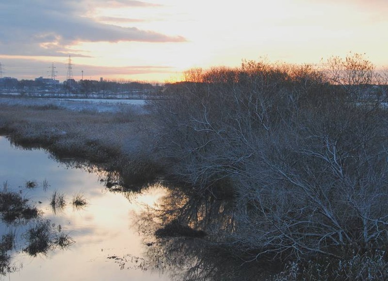 image002