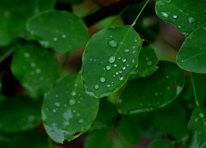 image002