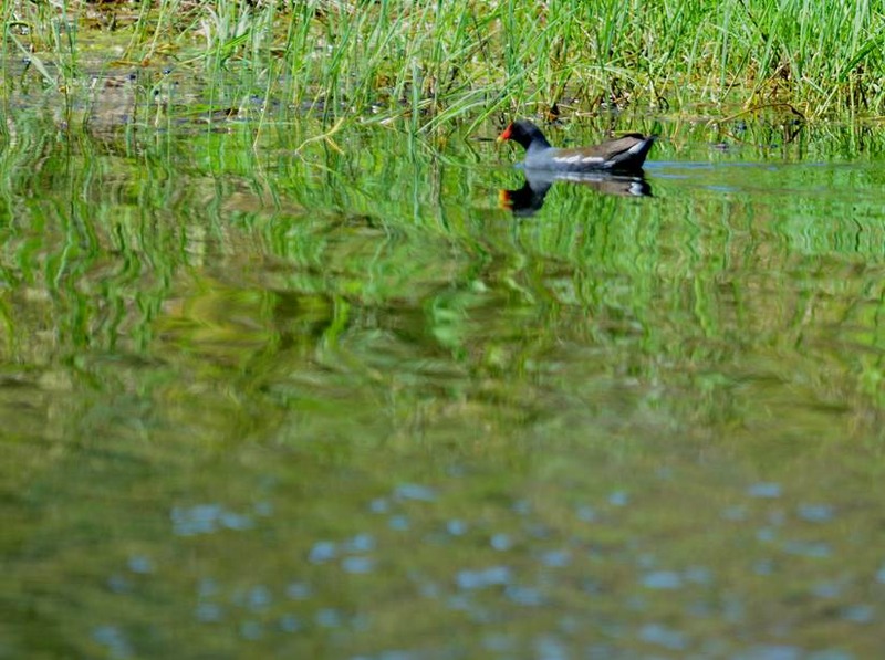 image002