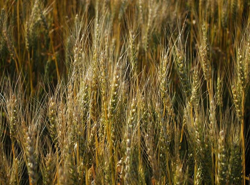 image002
