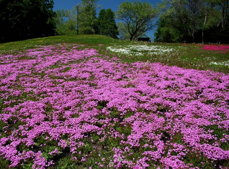 image002