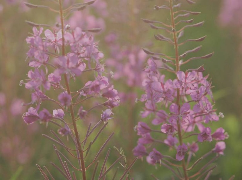 image002