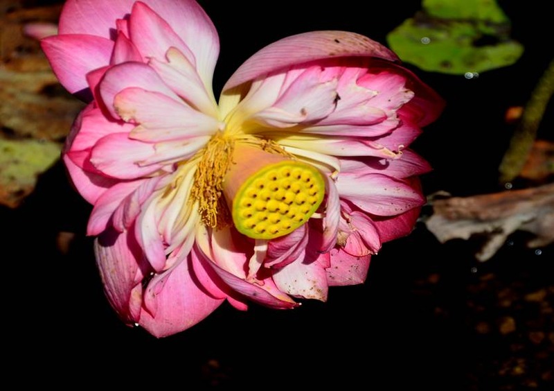 image002