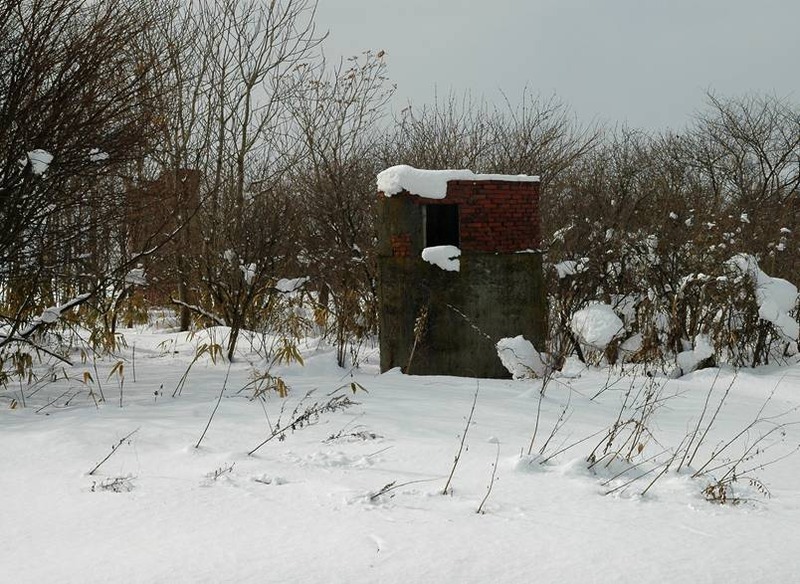 image002