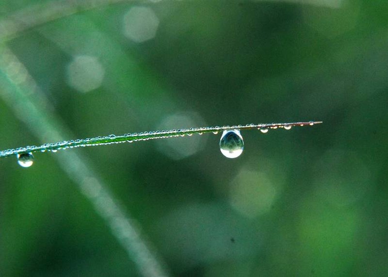 image002