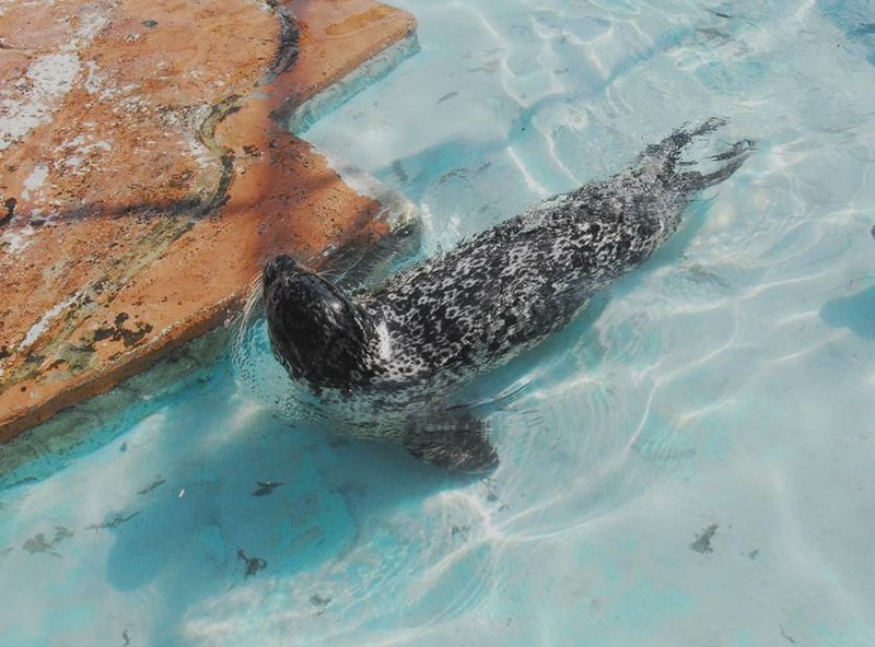 image002