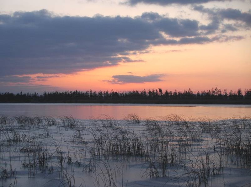 image002