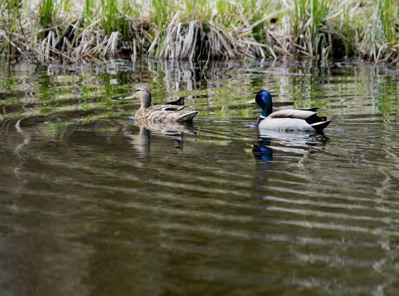 image002