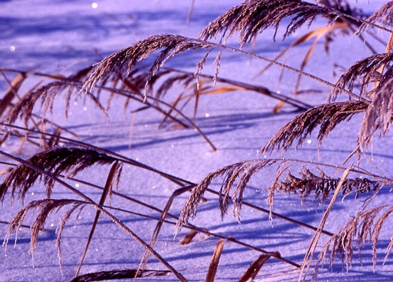 image002