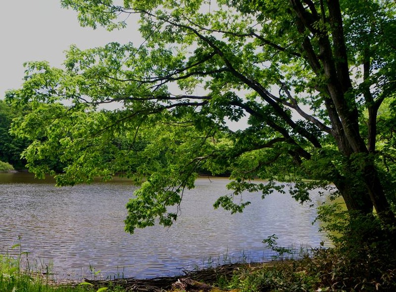 image002