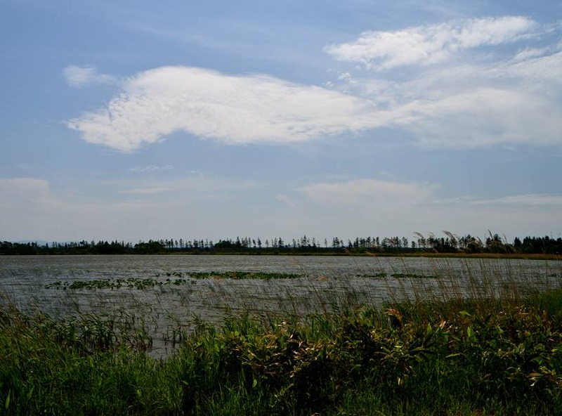 image002