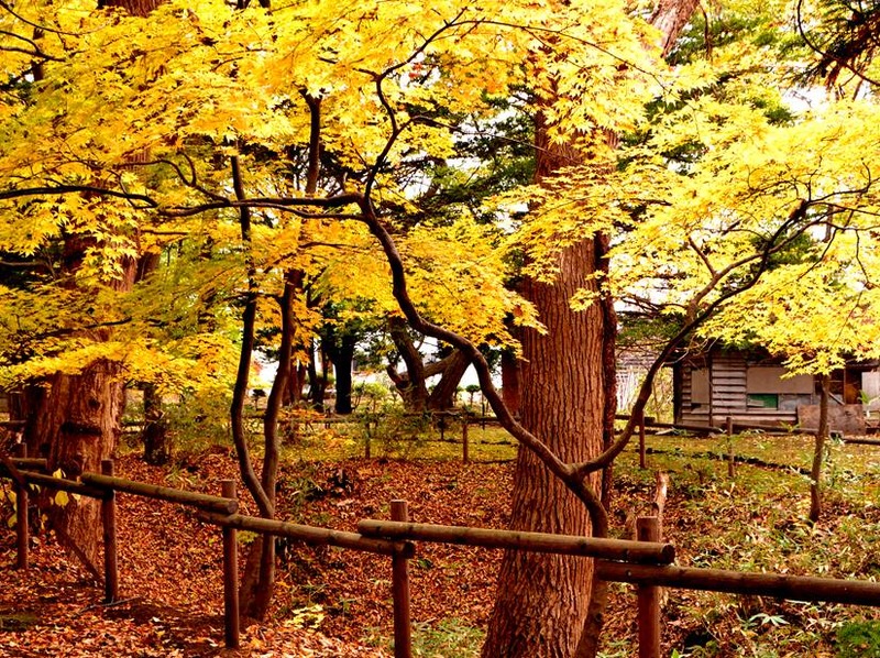 image002