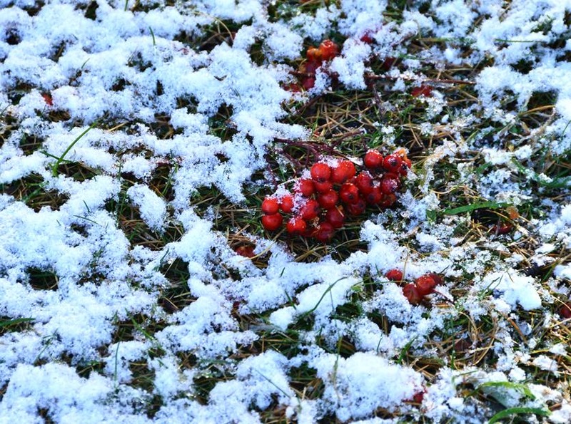image002