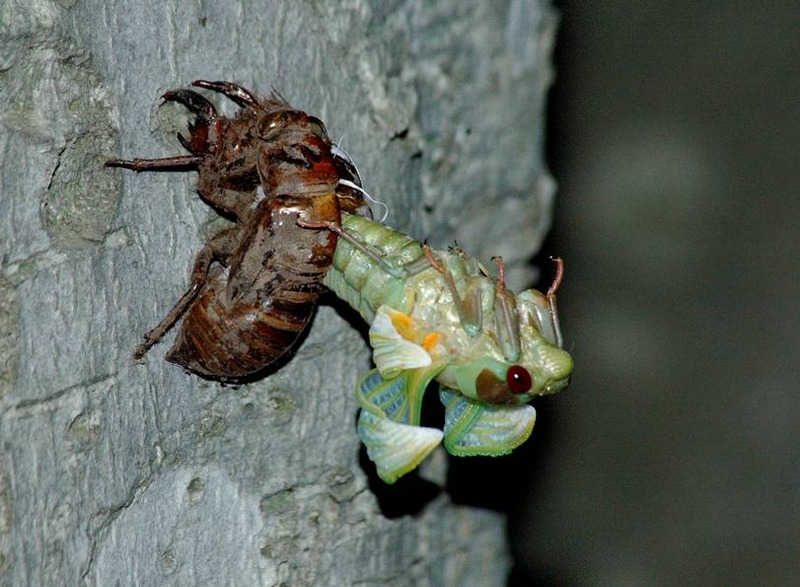 image002