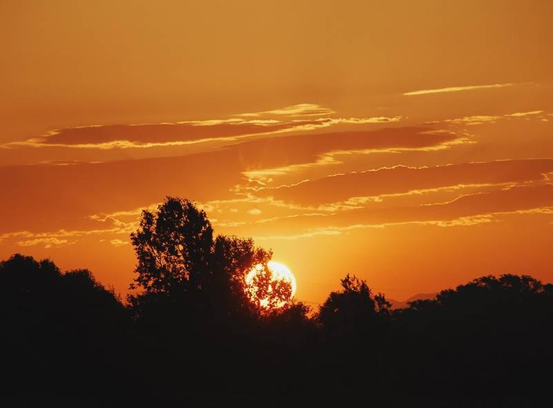 image002