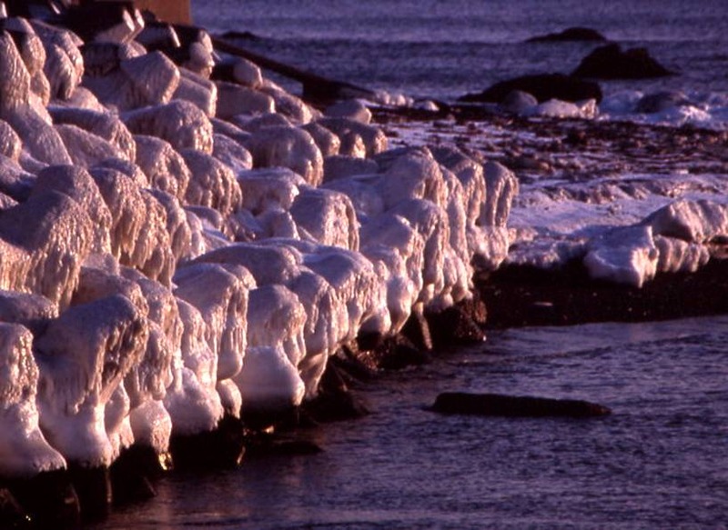 image002