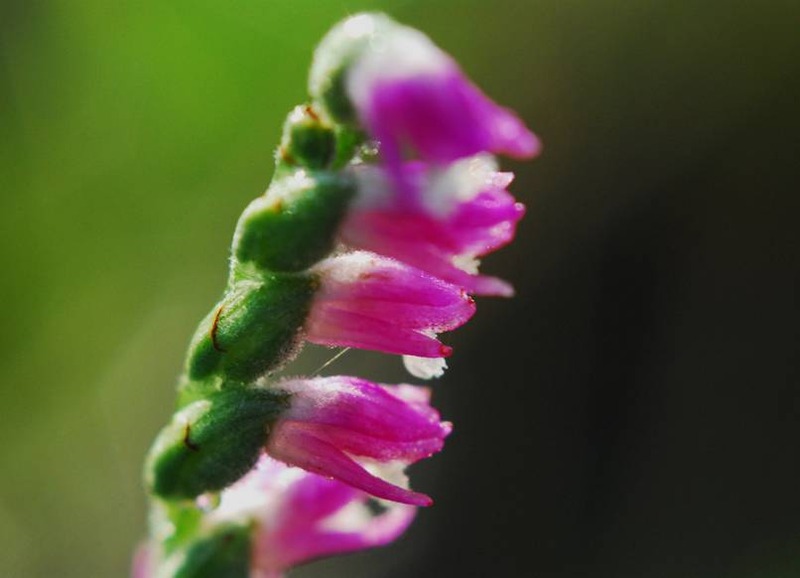 image002