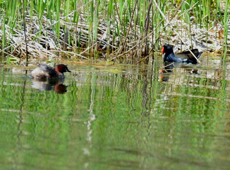 image002