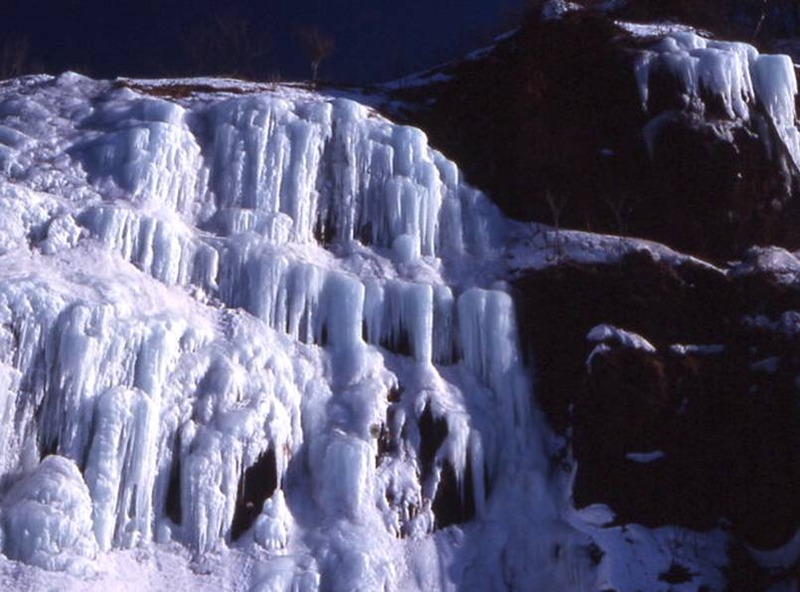 image002