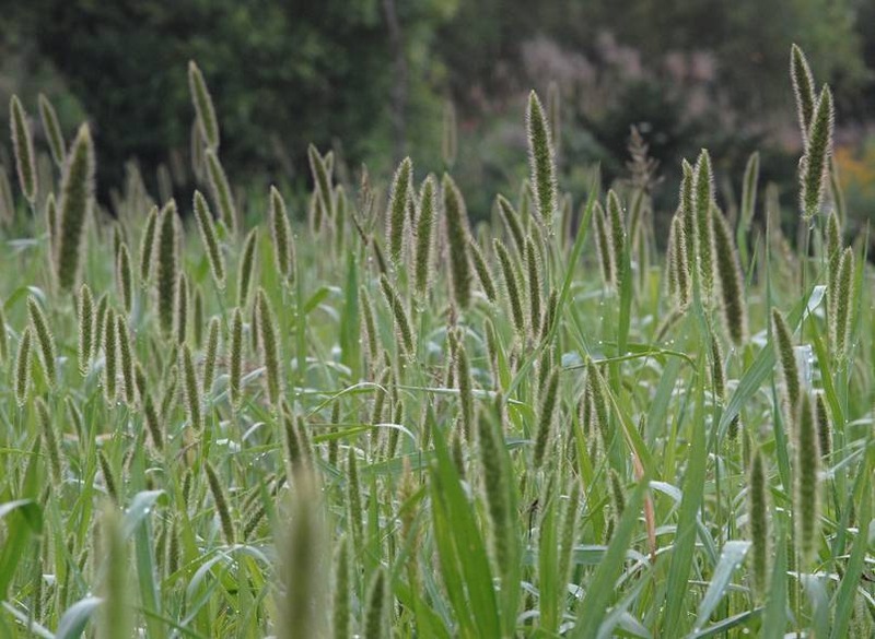 image002