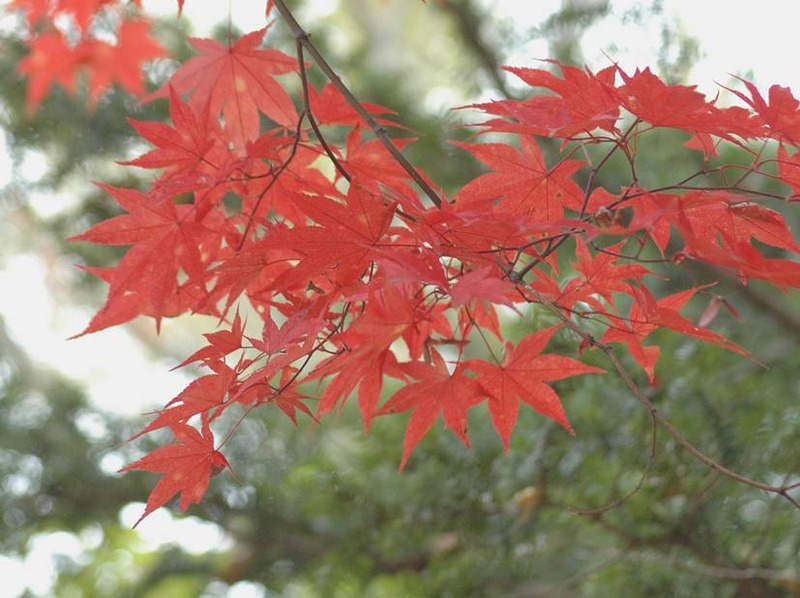image002