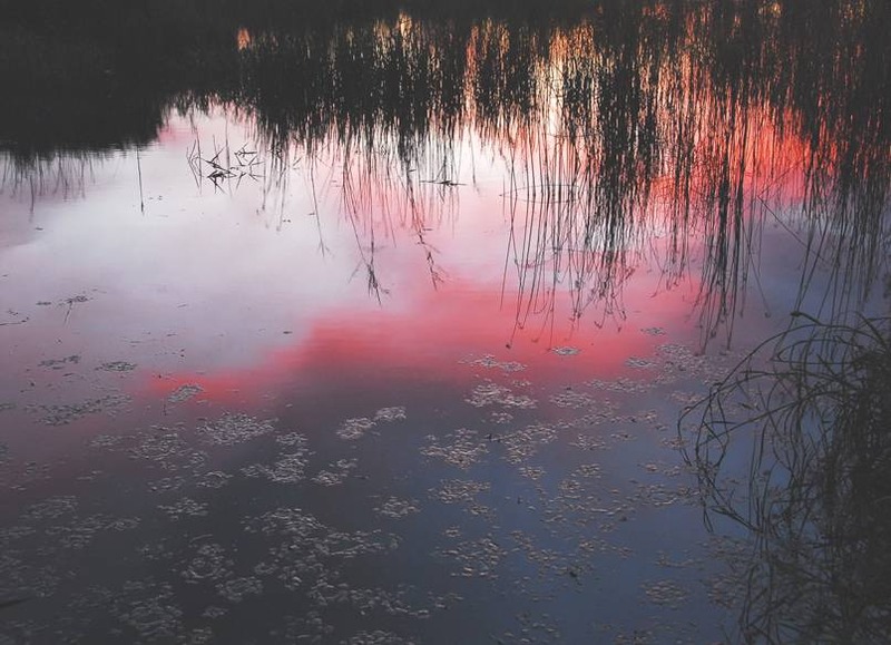 image002