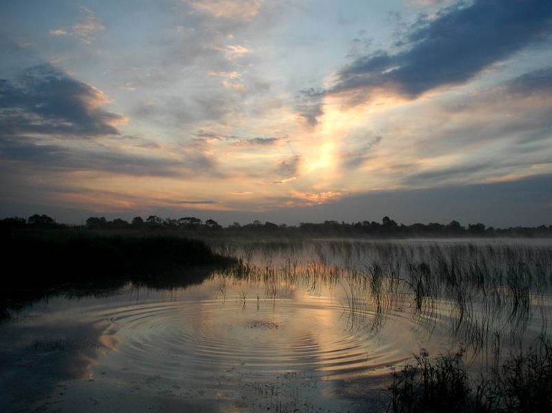 image002