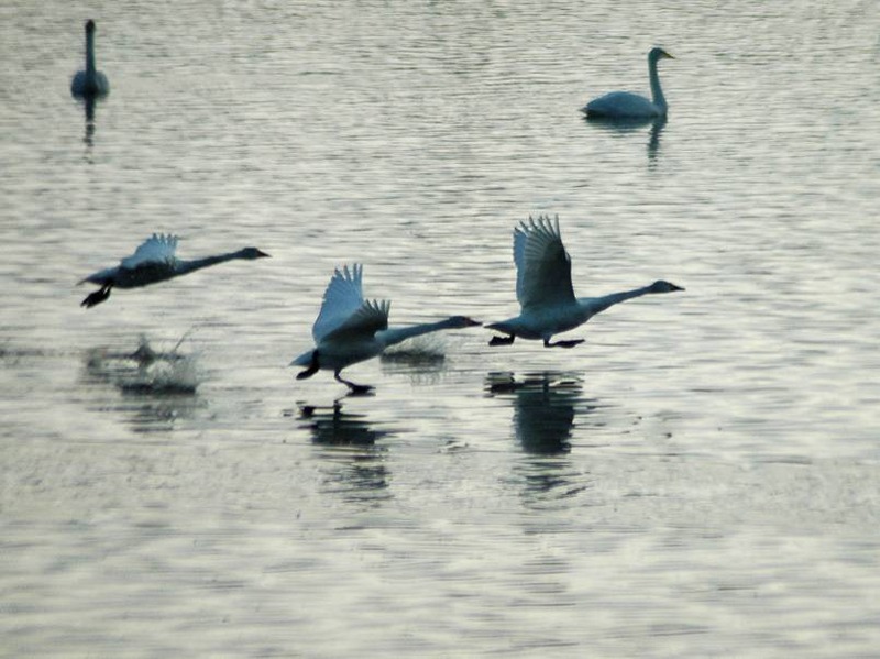 image002