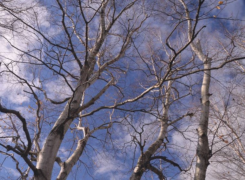 image002