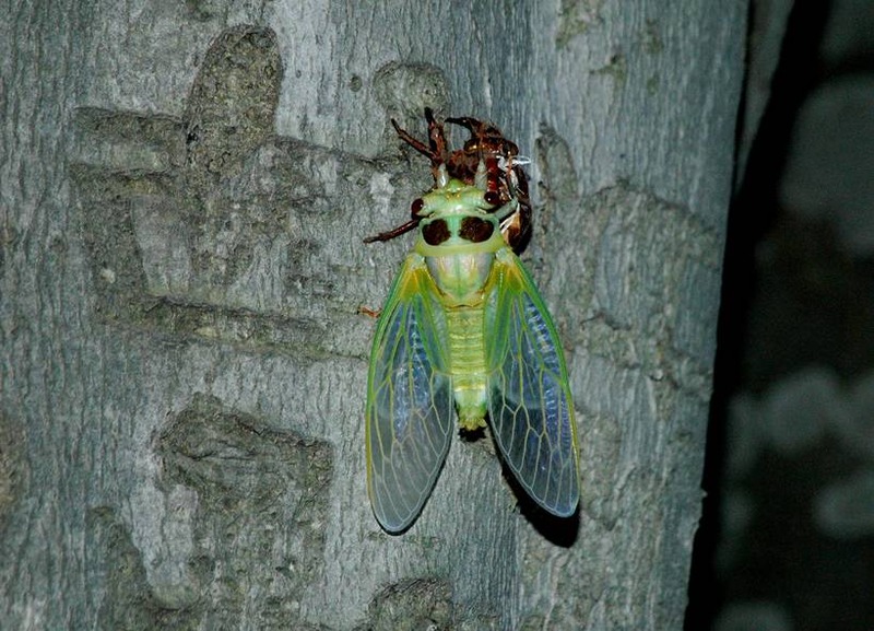 image002