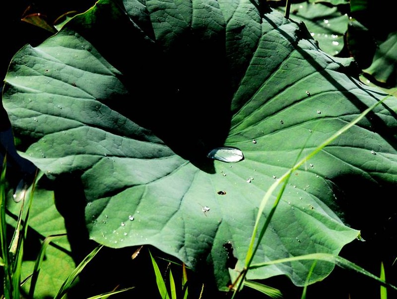 image002