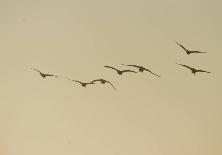 image002