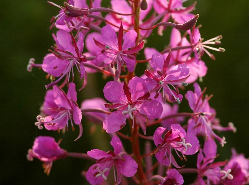 image002