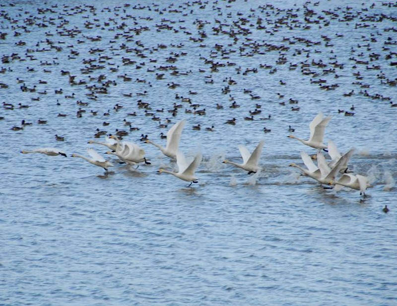 image002