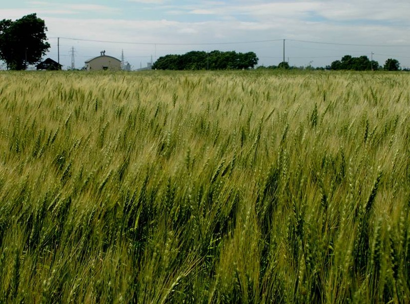 image002
