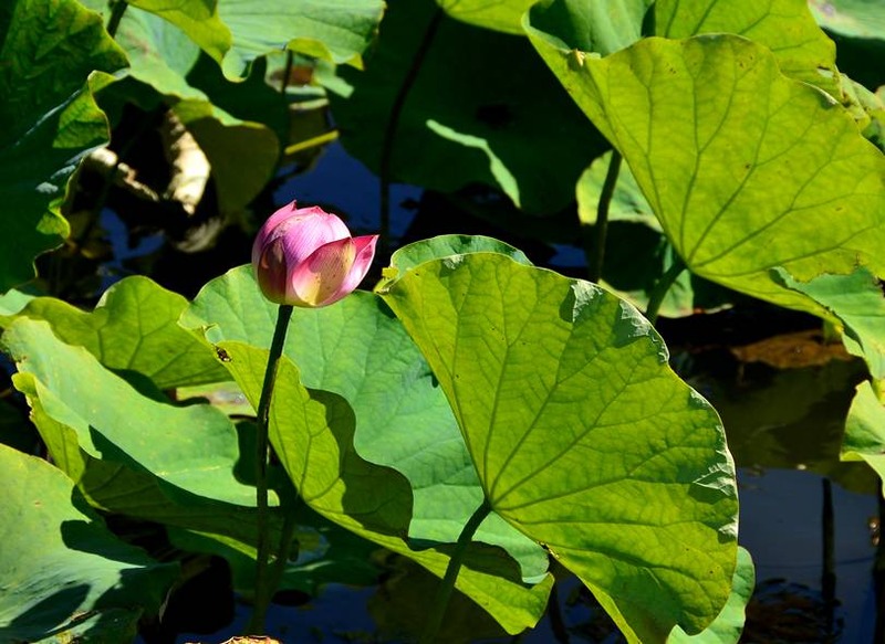 image002