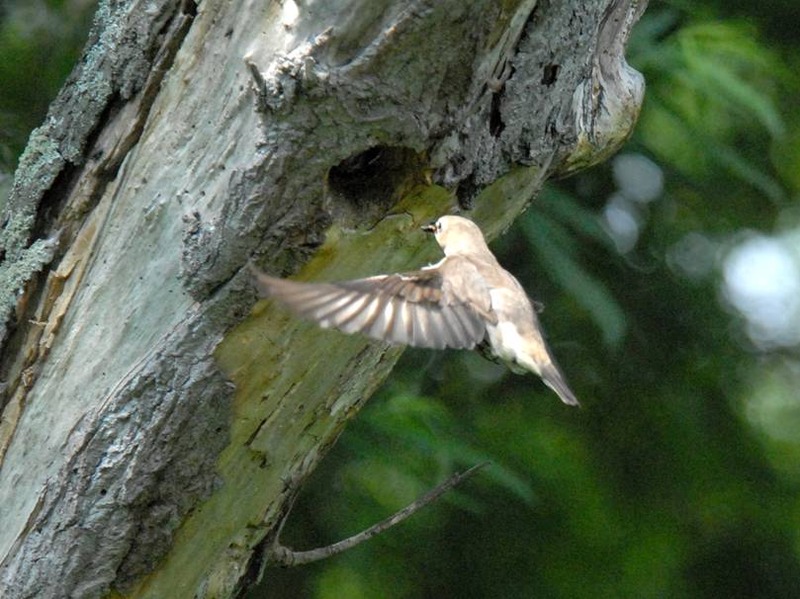 image002