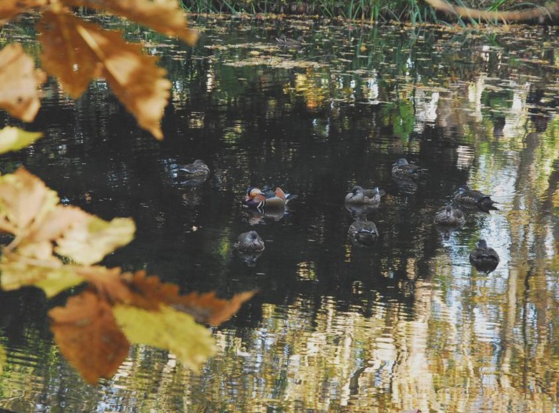 image002
