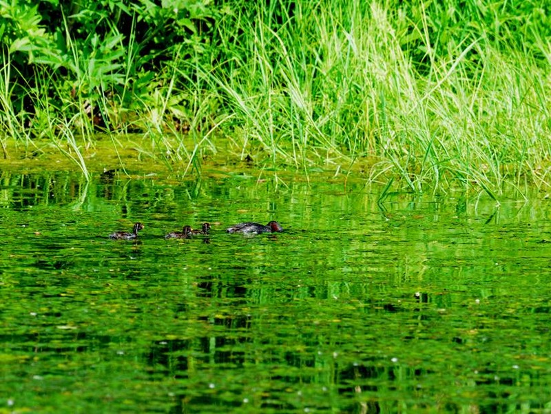 image002