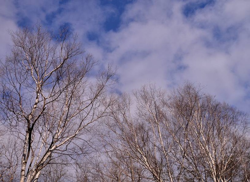 image002