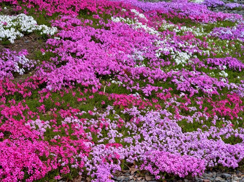 image002