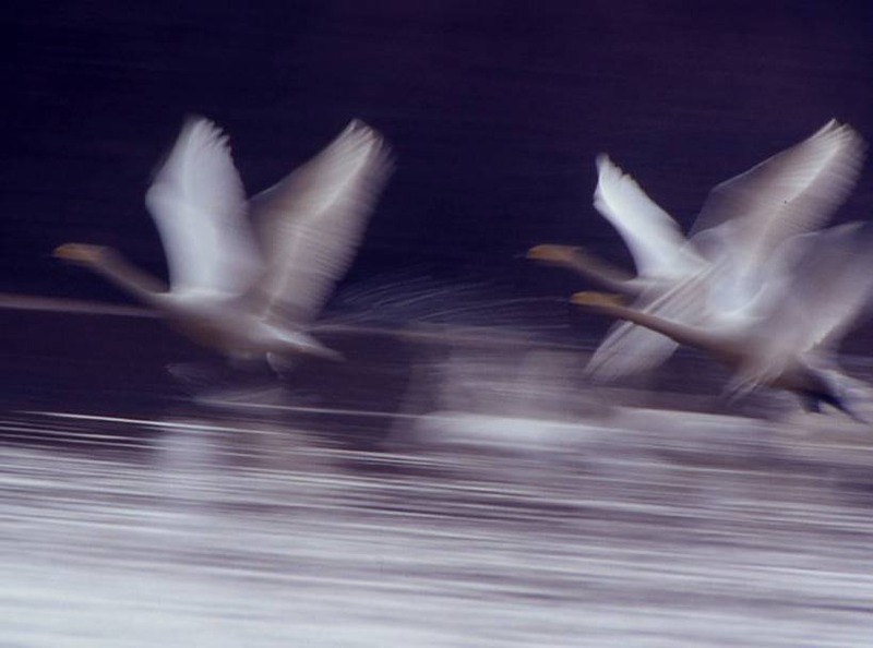 image002